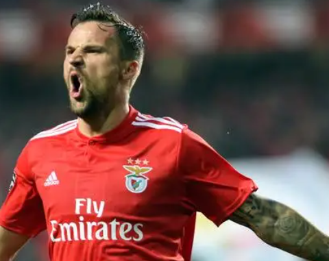 本菲卡欧冠征途：逆境中坚守，荆棘里寻光