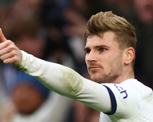 热刺欧冠：逆境中绽放的坚韧之花